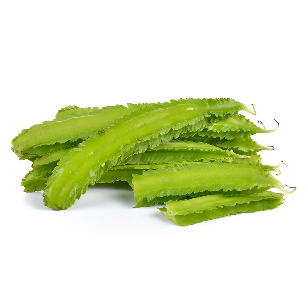 [10253] ASEA Winged Bean 100g /pkt | 翅豆100g / pkt