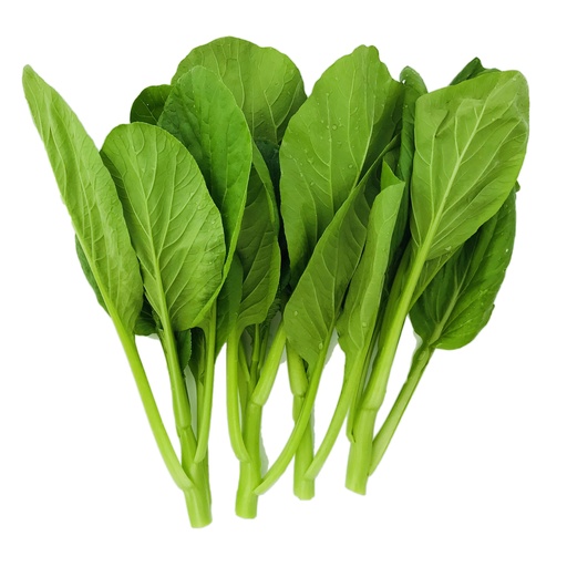 [10037] Choi Sum 1kg | 新鲜 菜心 1kg
