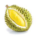 [10054] Fresh MUSANG KING Durian 1kg | 新鲜 空运猫山王榴莲 1kg