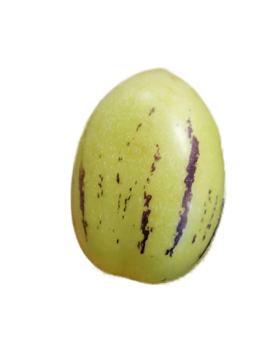 [10108] Fresh Pepino Melon 1kg | 新鲜 人参果 1kg