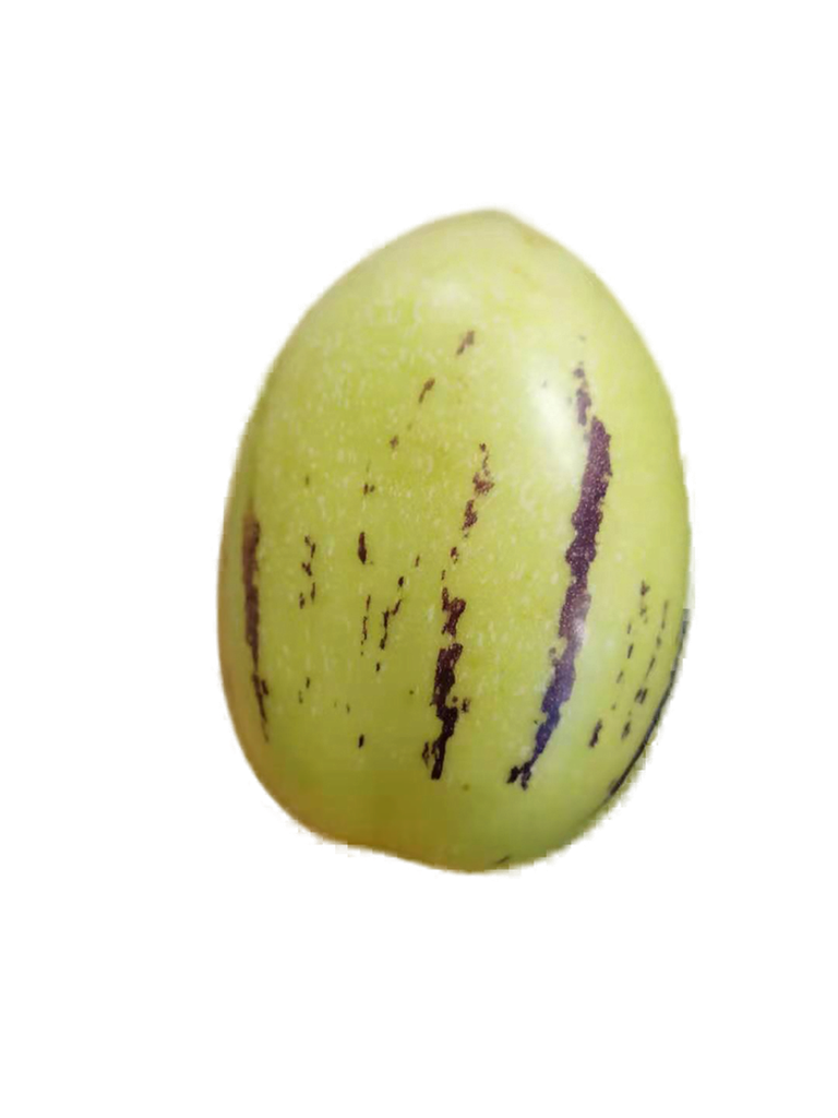 Fresh Pepino Melon 1kg | 新鲜 人参果 1kg